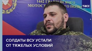 Комбат Тяга: солдаты ВСУ устали от тяжелых условий