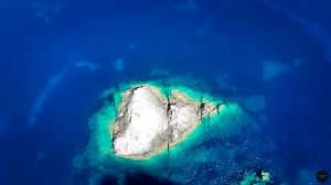 Paradise Music 🏝️ - Tropical Lounge - Island Happiness