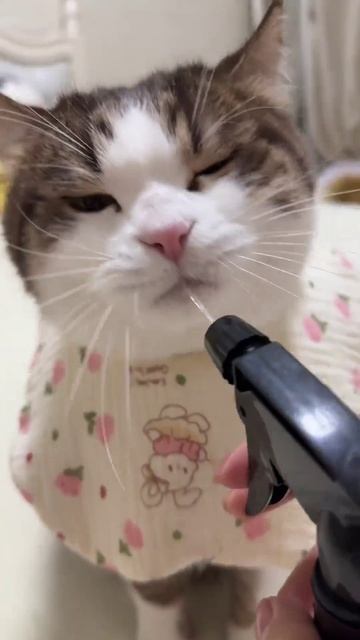 Не забывайте пить много воды в жаркую погоду Видео AxAhO
