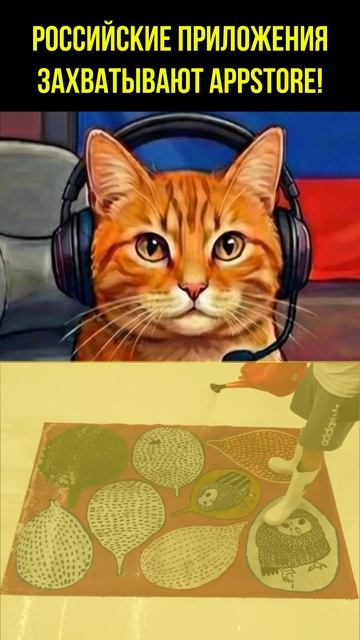 Шортсы
