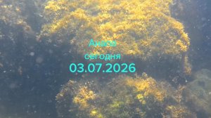 Анапа Сегодня 03.07.2026