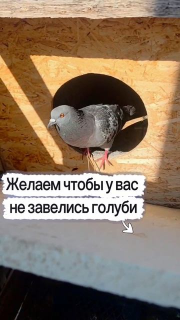 #отпуск2026