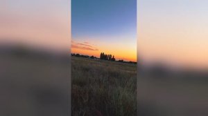 Закатное Поле С Блёстками Вирал