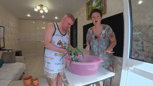 Всё в ЗЕМЛЕ и в моих НЕРВАХ! ОГО, их 5! Вован ОТЛИЧИЛСЯ, Пересаживаем алоэ ВПЕРВЫЕ в жизни! Влог
