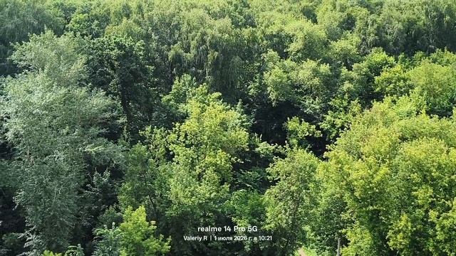 Москва, лесопарк Лосиный остров 🌳🌲🏢🏢 01.07.2026