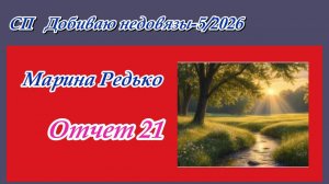 СП «Добиваю недовязы-5/2026» / Отчет 21