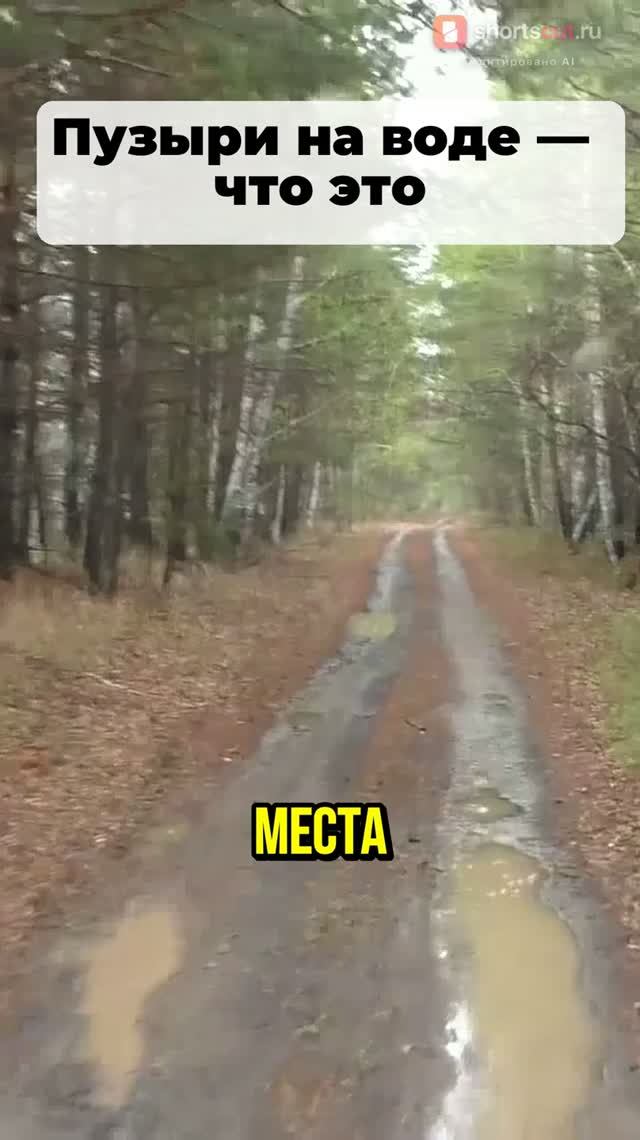 Затяжной дождь на природе: 10 км до места рыбалки