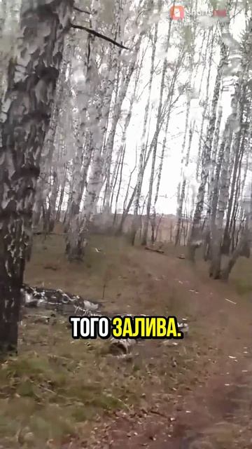 Прибытие на место рыбалки: пустой берег и первые наблюдения