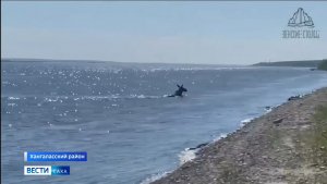 21:10 ВЕСТИ САХА 03/07/26 НА РУССКОМ ЯЗЫКЕ