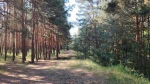 Некоторые моменты из области финансовой грамотности