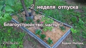 Облагородим участок? 2 неделя отпуска. Неудача с пеньками!