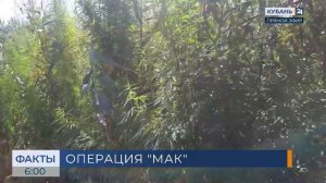 Профилактическая операция «Мак» стартовала в Краснодаре