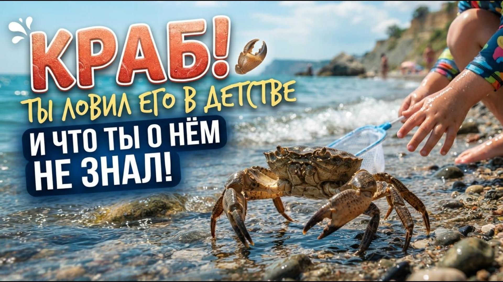 КРАБ - Ты Ловил Его В Детстве, но не знал о нём многого!