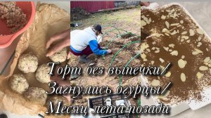 Торт без выпечки/Загнулись огурцы/Месяц лета позади