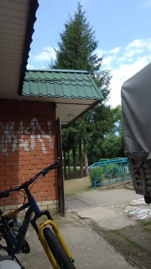 покатушки сбор денег для др