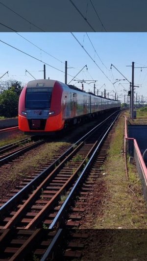 Ласточка на Ленинском проспекте