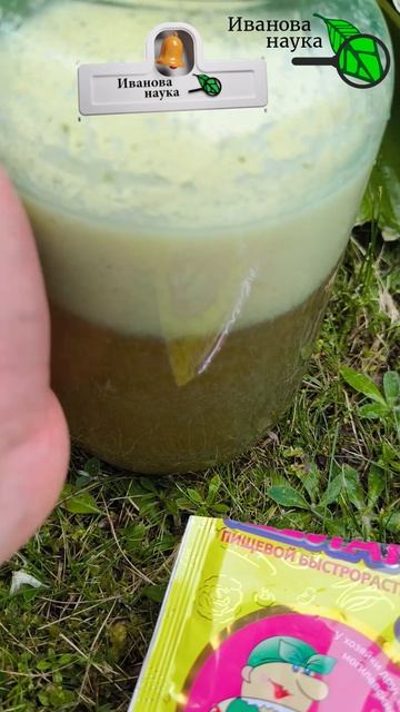 🚨 Срочно дайте это томатам и огурцам, и они НЕ ЗАБОЛЕЮТ! 🍅🥒 Раствор на смену погоды 🌿💧