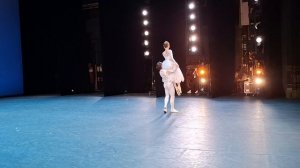 Скребкова Ника. Белохвостик Константин (в конкурсе не участвует). «Бахчисарайский фонтан»