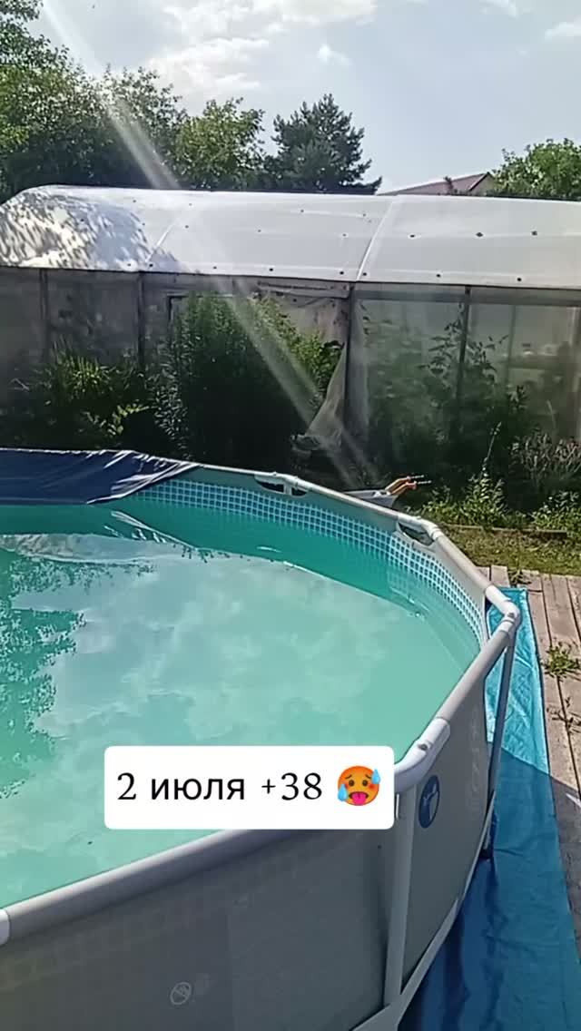В ТАКУЮ ЖАРУ ТОЛЬКО В БАССЕЙН #summerfun #pool #cooling #shorts #garden #дача #огород