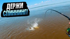 Самый СИЛЬНЫЙ ХИЩНИК реки, от поклёвки дрожат руки