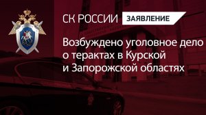 Возбуждено уголовное дело о терактах в Курской и Запорожской областях