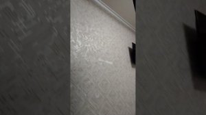 1000034954.mp4