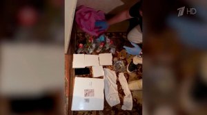Сотрудники ФСБ предотвратили теракт на железной дороге в Ставропольском крае.