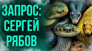 Что произошло после укуса габонской гадюки