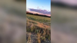 Закат С Блёстками В Поле Хит