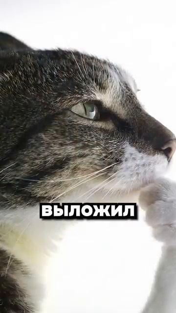Вы не хотели этого знать