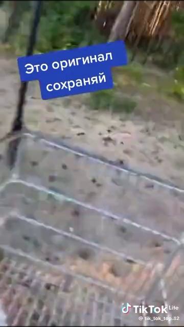 это оригинал сохраняй смотреть онлайн