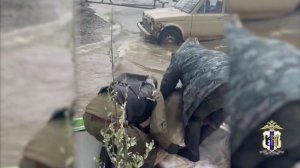 Хабаровской полицией задержаны семеро браконьеров, занимавшихся незаконной заготовкой икры осетра