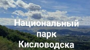 Музыкальный велопоход в самый 🔅 красивый лес России 🇷🇺