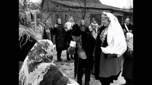Микола Янченко - «Давали жару»