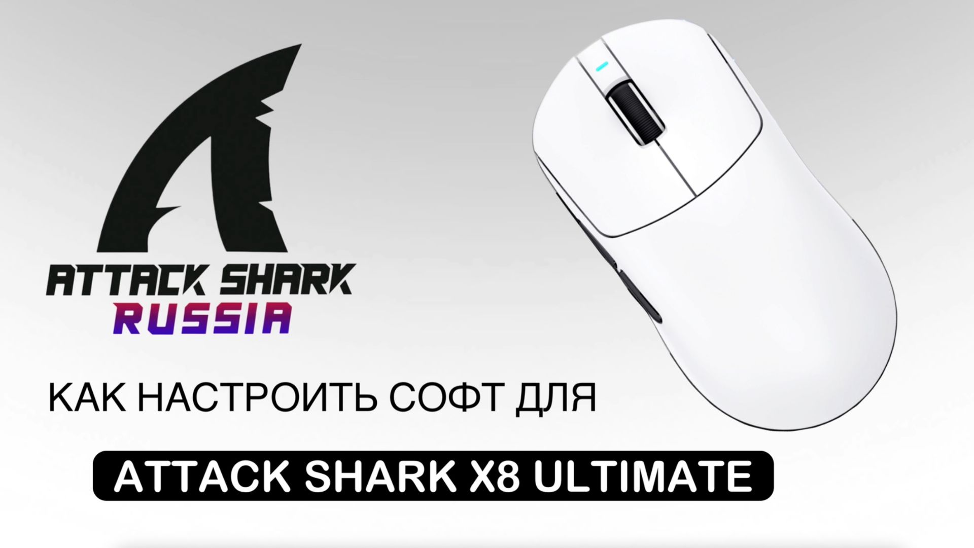 ATTACK SHARK X8 ULTIMATE — КАК НАСТРОИТЬ СОФТ | SOFTWARE GUIDE смотреть онлайн