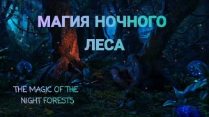 ЗВУКИ НОЧНОГО ЛЕСА THE MAGIC OF THE NIGHT FORESTS ЗВУК ДЛЯ РЕЛАКСА И ОТДЫХА