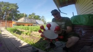 Автоматическая поилка для кур.