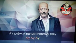Розенбаум. Ау. Караоке со словами.  Караоке от Серёги 😊