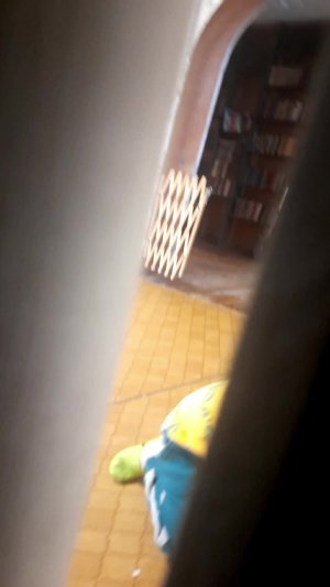 прятки 2 серия