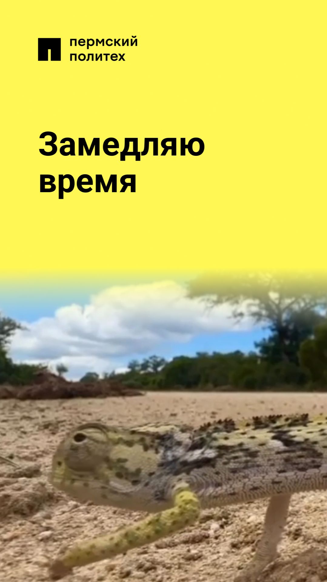 Замедляю время