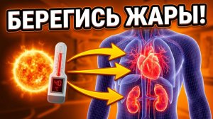 Что на самом деле происходит с телом в жару☀️