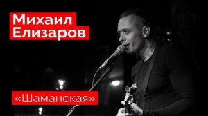 Михаил Елизаров – Шаманская