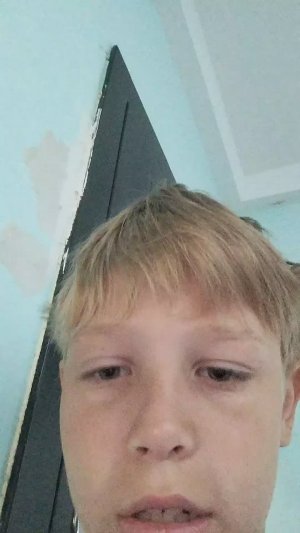 лечим котиков