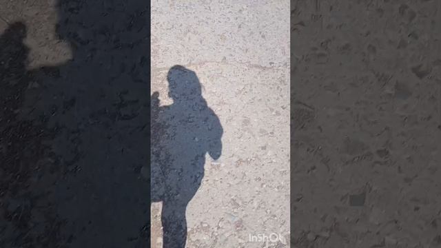 🍂🍁прогулка🍁🍂 смотреть онлайн