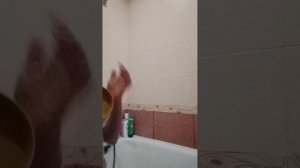 моем пельменя дамблинга