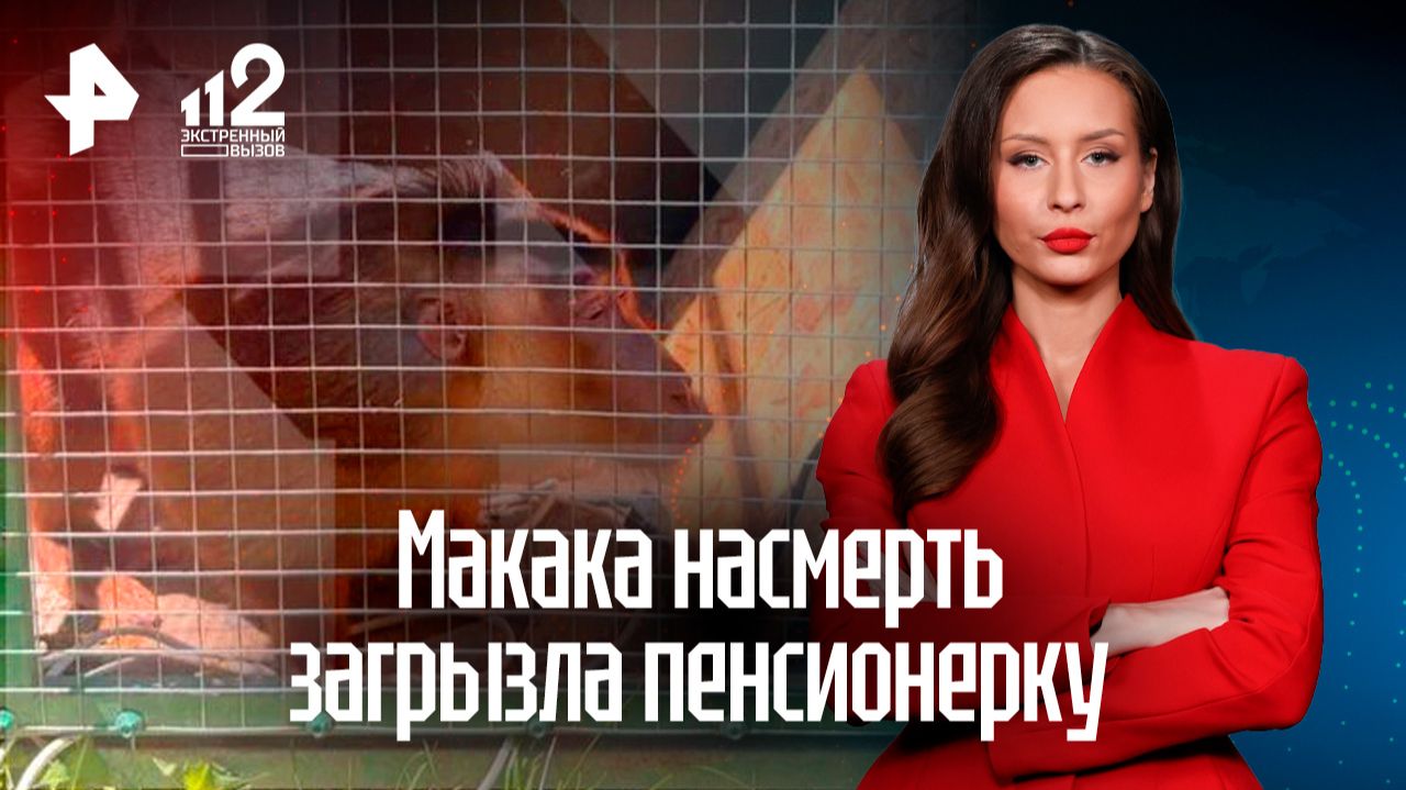 Макака до смерти закусала 84-летнюю пенсионерку в Адыгее смотреть онлайн