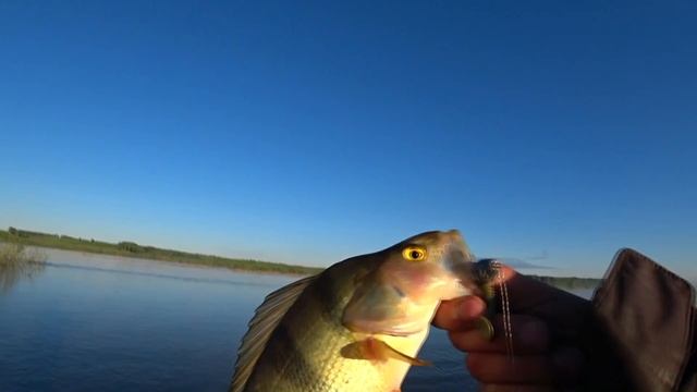рыбалка с лодки в июне