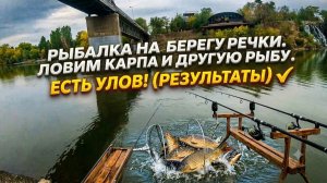 Рыбалка на берегу речки. Ловим карпа и другую рыбу. Есть улов