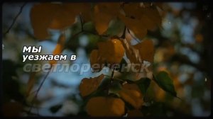 ГЛАВВРАЧ вышвырнул фельдшера СКОРОЙ за спасение БОМЖА без документов…А через 2