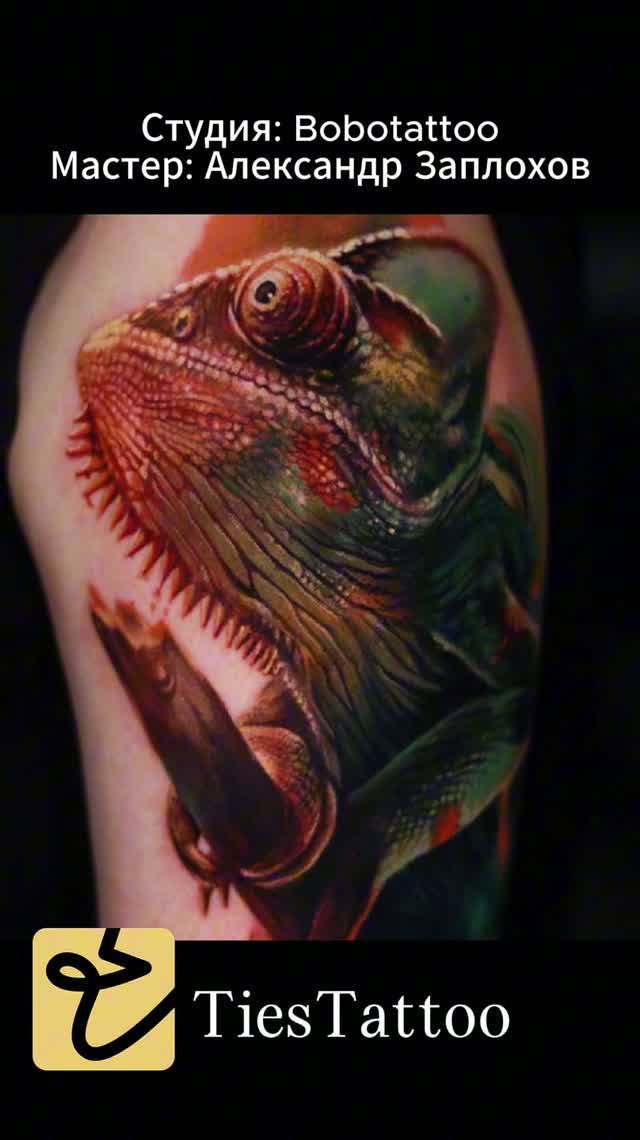 Студия: Bobotattoo смотреть онлайн